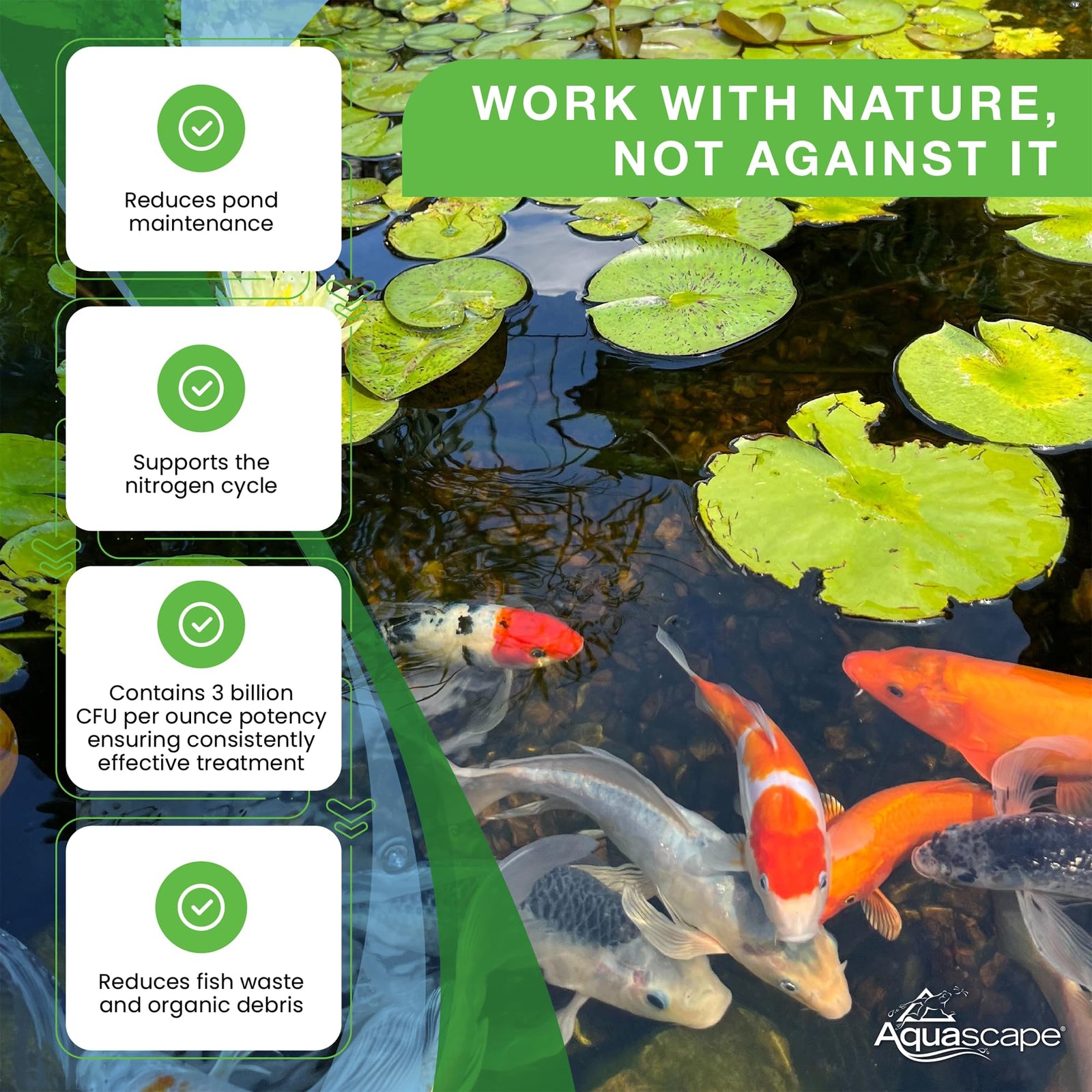 Aquascape Beneficial Bacteria Concentrate for Pond and Water Features, 1.1-Pound, 98949