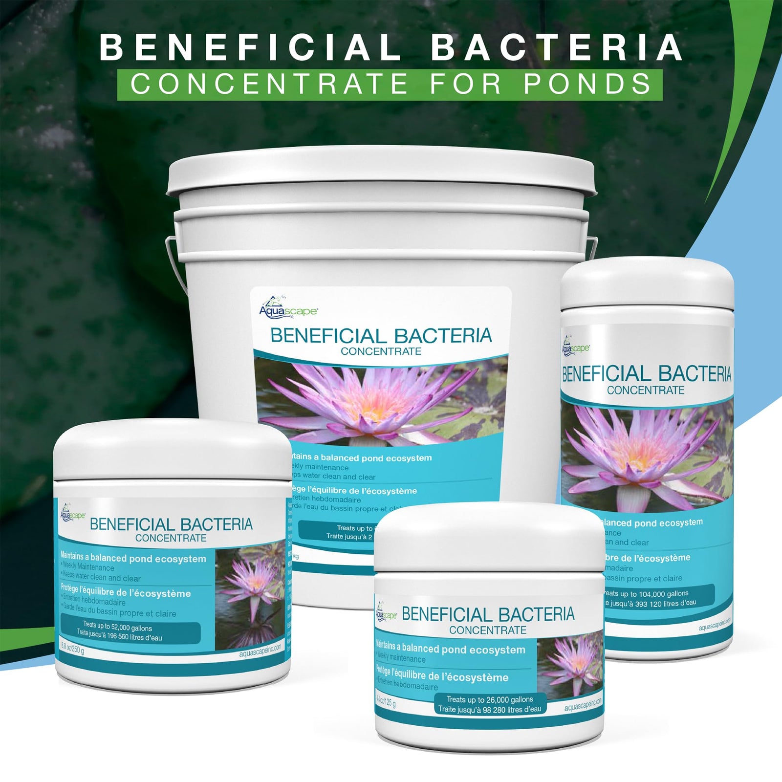 Aquascape Beneficial Bacteria Concentrate for Pond and Water Features, 1.1-Pound, 98949