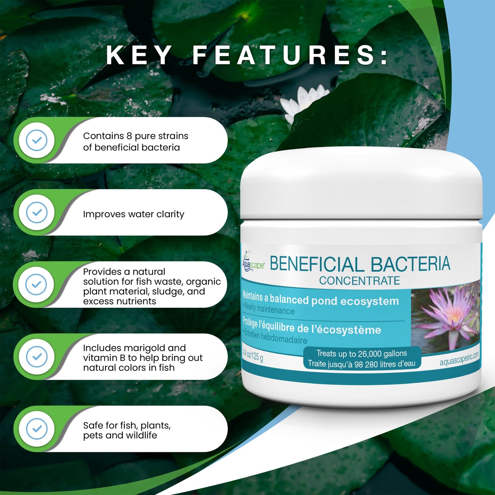 Aquascape Beneficial Bacteria Concentrate for Pond and Water Features, 1.1-Pound, 98949