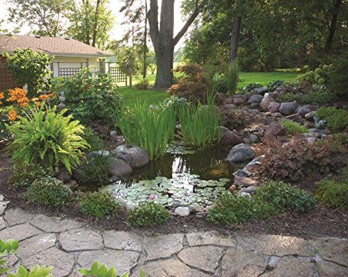 Aquascape DIY Backyard Pond Kit, 8-feet x 6-feet | 99764