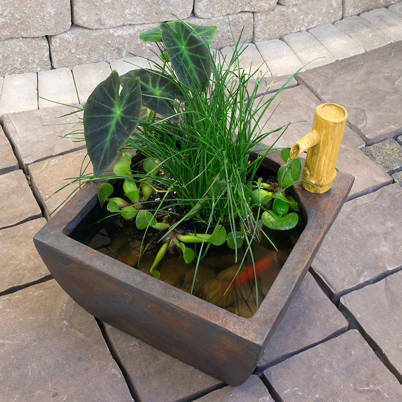 Patio Ponds