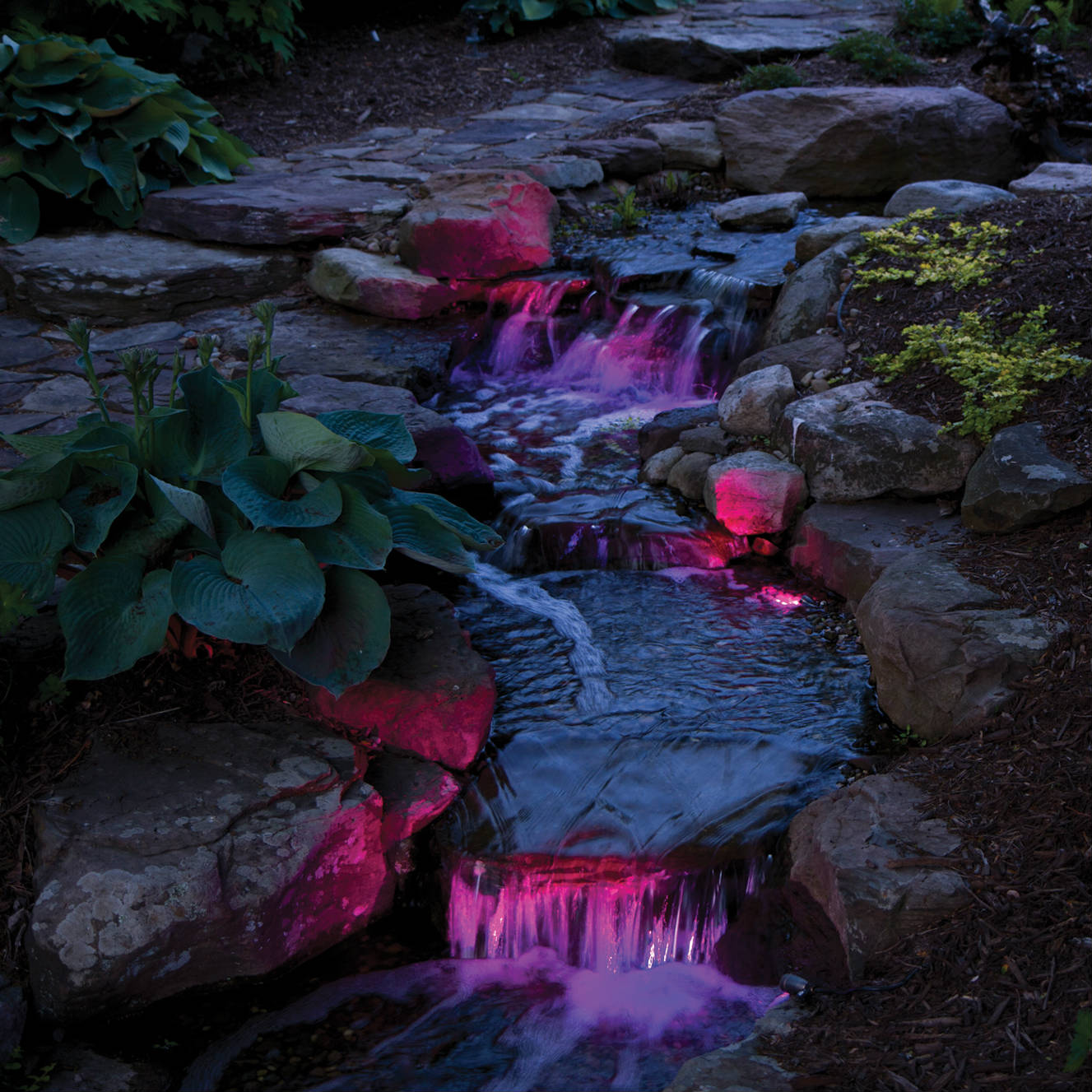 Pond Lighting