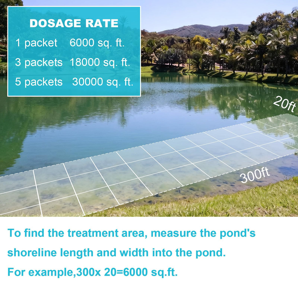 Natural Pond Sludge Remover Tablets with Beneficial Bacteria & Enzymes, Safe for Plants, Fish, Helps Break Down Muck & Reduce Odors Naturally, 2 lb