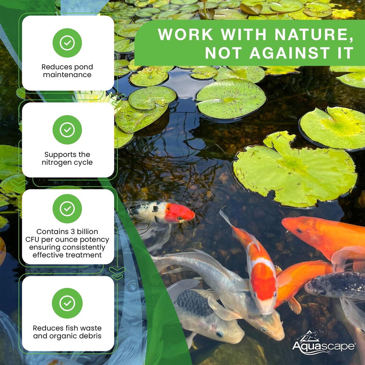 Aquascape 98950 Beneficial Bacteria Water Treatment Dry - 3.2 kg/7 lbs for Pond Water Feature Waterfall | Provides Clean, Clear and Healthy Water Conditions and Reduces Pond Maintenance