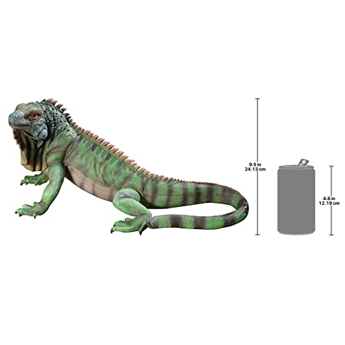 Design Toscano Iggy The Iguana Indoor/Outdoor Garden Statue