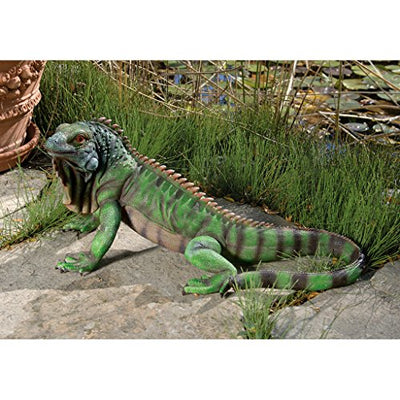 Design Toscano Iggy The Iguana Indoor/Outdoor Garden Statue