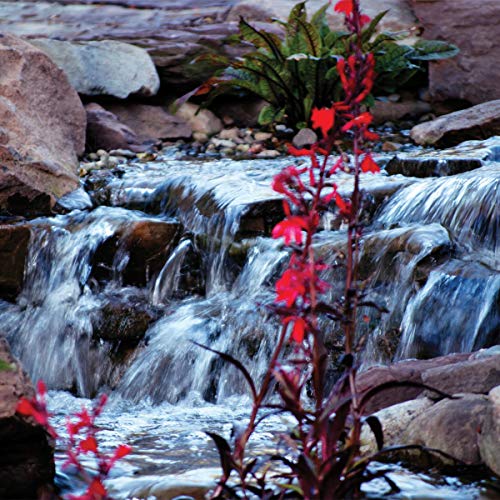 Atlantic Water Gardens TT2000 Energy Efficient Pond & Waterfall Pump