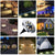 Rayolon Solar Ground Lights, Waterproof Solar Garden Lights  (12 Pack Warm Light)